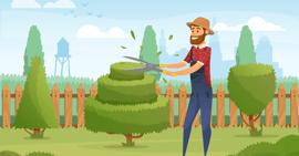 take-care-of-your-backyard